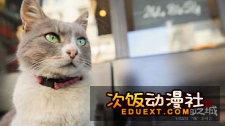 TV动画香蕉猫咪不可思议的伙伴们将于今秋开始播出的消息。